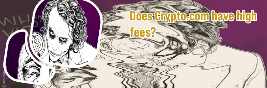 Does cryptocom charge fees