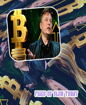 Elon cryptocurrency price