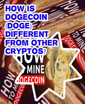 How much does one dogecoin cost