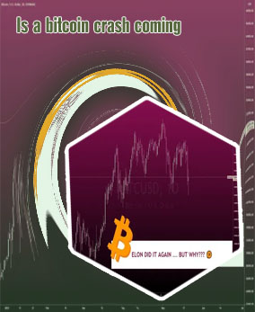 Is bitcoin going back up